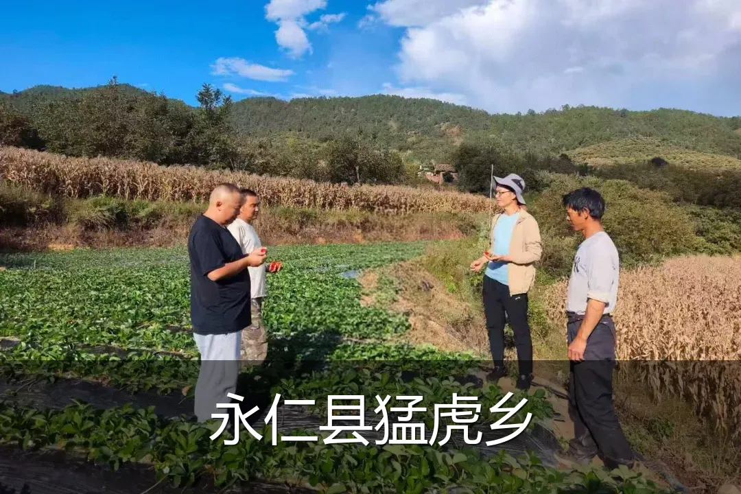 永仁县猛虎乡